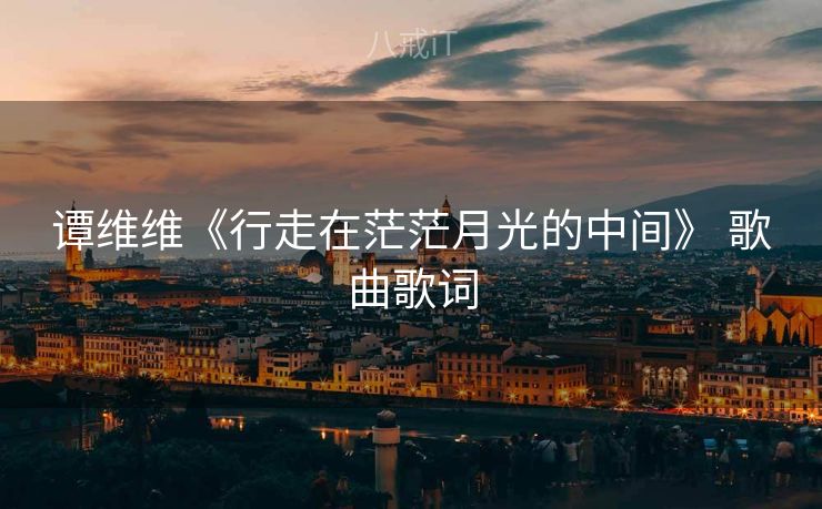 谭维维《行走在茫茫月光的中间》 歌曲歌词 谭维维《行走在茫茫月光的中间》 歌曲歌词