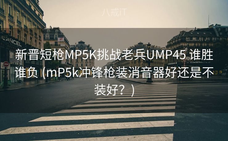 新晋短枪MP5K挑战老兵UMP45 谁胜谁负 (mP5k冲锋枪装消音器好还是不装好？)