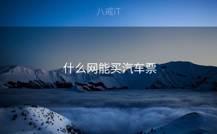 什么网能买汽车票 什么网能买汽车票