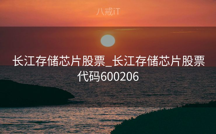 长江存储芯片股票_长江存储芯片股票代码600206