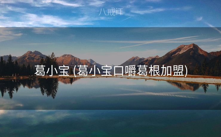 葛小宝 (葛小宝口嚼葛根加盟)