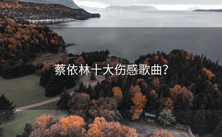 蔡依林十大伤感歌曲？