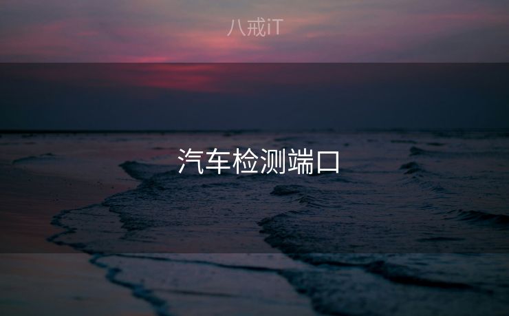  汽车检测端口