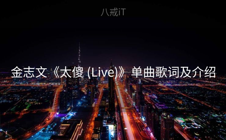 金志文《太傻 (Live)》单曲歌词及介绍