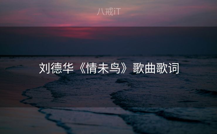刘德华《情未鸟》歌曲歌词 刘德华《情未鸟》歌曲歌词
