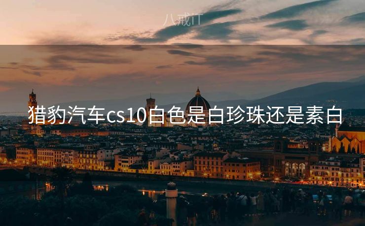  猎豹汽车cs10白色是白珍珠还是素白