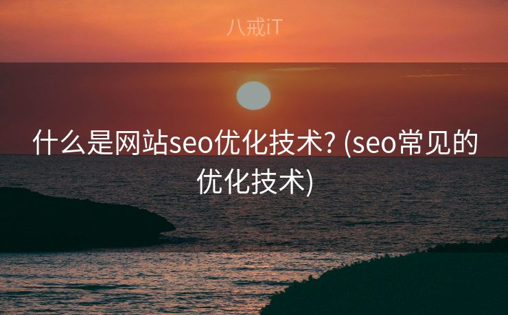什么是网站seo优化技术? (seo常见的优化技术)