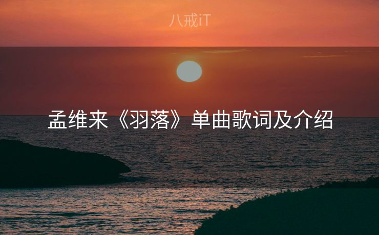 孟维来《羽落》单曲歌词及介绍