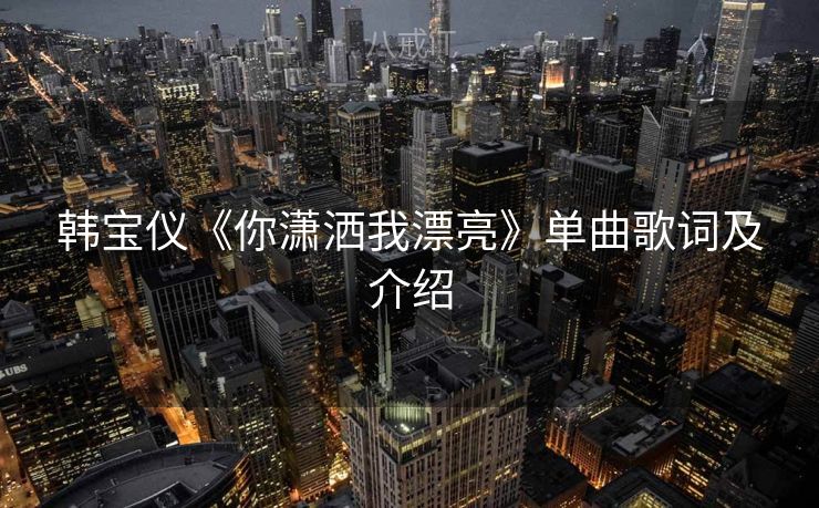 韩宝仪《你潇洒我漂亮》单曲歌词及介绍