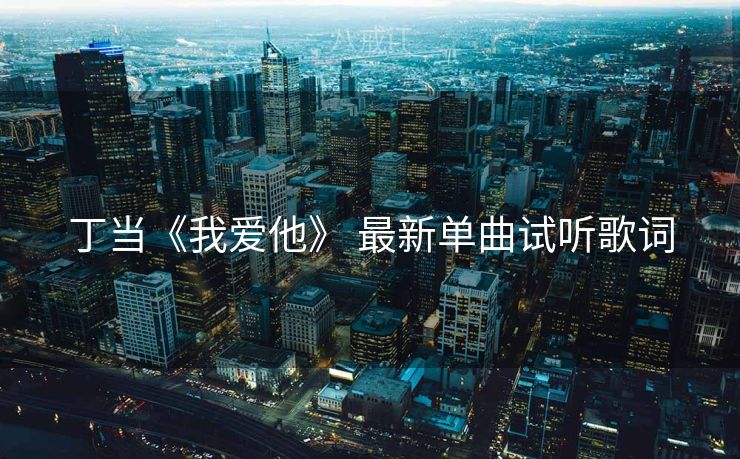 丁当《我爱他》 最新单曲试听歌词