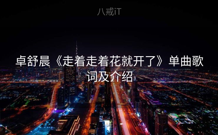 卓舒晨《走着走着花就开了》单曲歌词及介绍