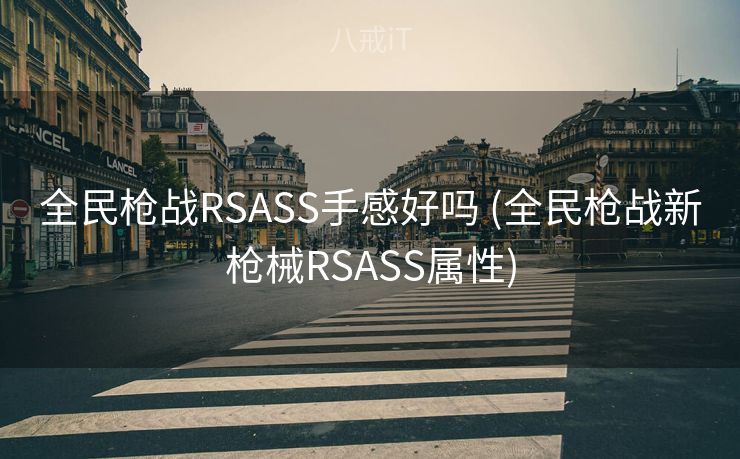 全民枪战RSASS手感好吗 (全民枪战新枪械RSASS属性)