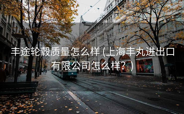 丰途轮毂质量怎么样 (上海丰丸进出口有限公司怎么样？)