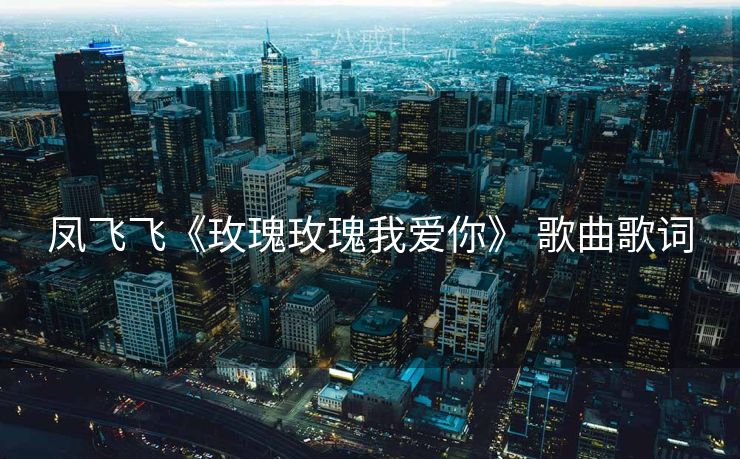 凤飞飞《玫瑰玫瑰我爱你》 歌曲歌词