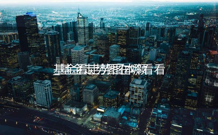 基金看走势图本领
_基金走势图在哪看看