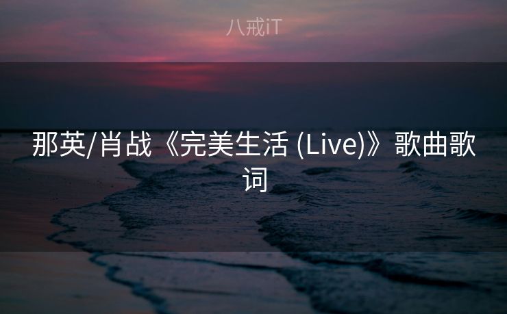 那英/肖战《完美生活 (Live)》歌曲歌词