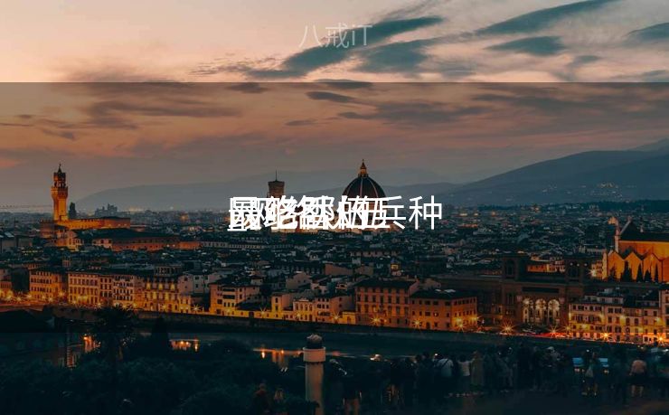 网络队伍
_网络队伍
最吃香的兵种