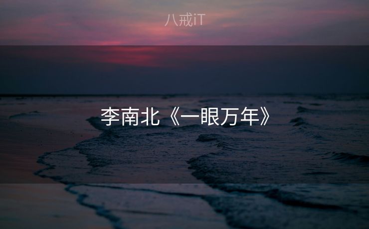 李南北《一眼万年》