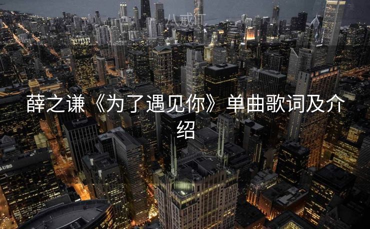 薛之谦《为了遇见你》单曲歌词及介绍
