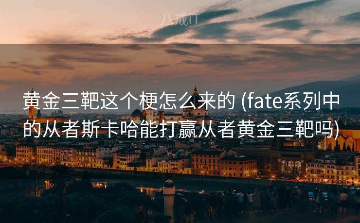 黄金三靶这个梗怎么来的 (fate系列中的从者斯卡哈能打赢从者黄金三靶吗)