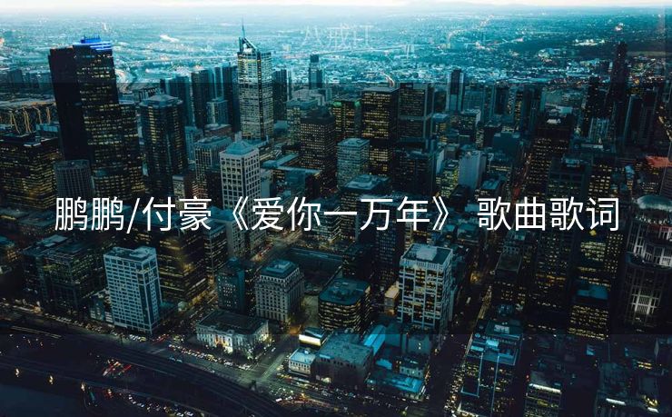鹏鹏/付豪《爱你一万年》 歌曲歌词