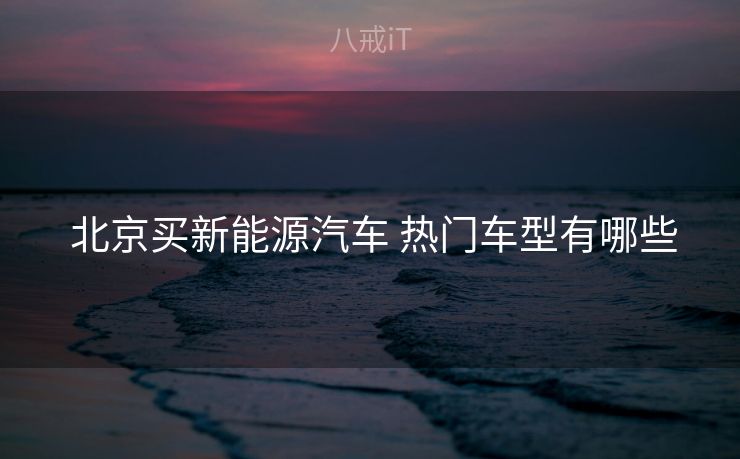  北京买新能源汽车 热门车型有哪些