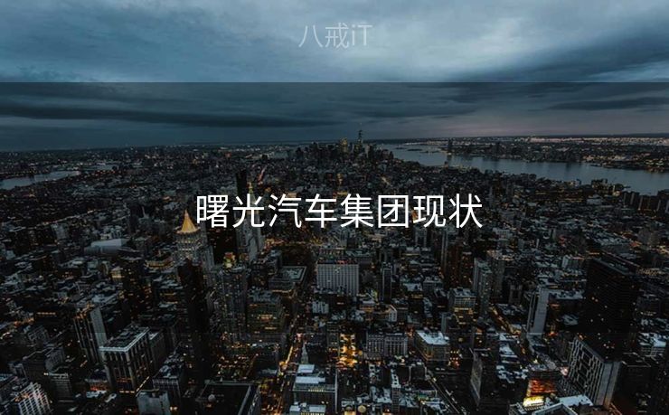  曙光汽车集团现状