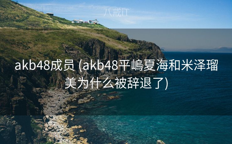 akb48成员 (akb48平嵨夏海和米泽瑠美为什么被辞退了)
