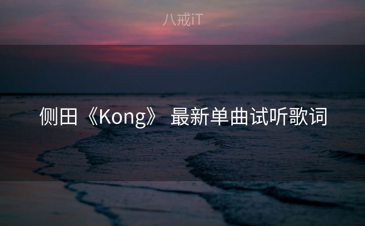 侧田《Kong》 最新单曲试听歌词