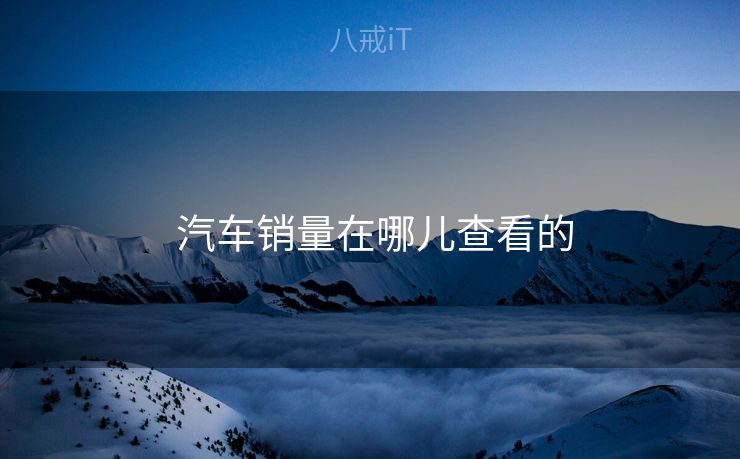  汽车销量在哪儿查看的