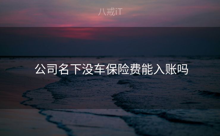  公司名下没车保险费能入账吗