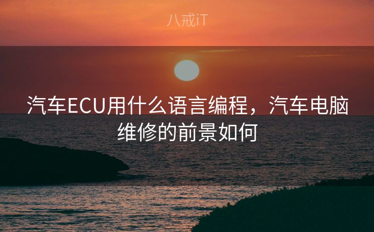 汽车ECU用什么语言编程,汽车电脑维修的前景如何 汽车ECU用什么语言编程,汽车电脑维修的前景如何