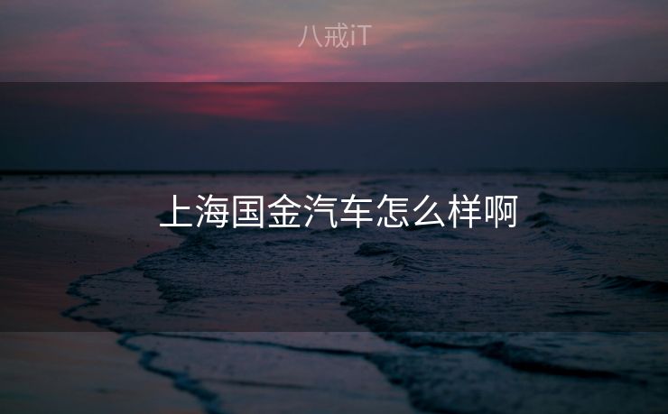  上海国金汽车怎么样啊