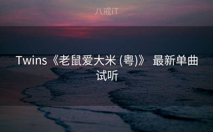 Twins《老鼠爱大米 (粤)》 最新单曲试听
