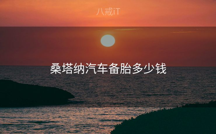 桑塔纳汽车备胎多少钱
