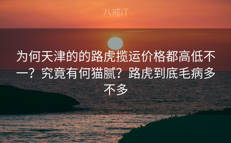 为何天津的的路虎揽运价格都高低不一？究竟有何猫腻？路虎到底毛病多不多