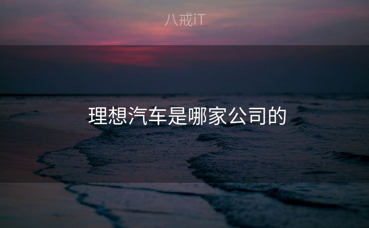 理想汽车是哪家公司的 理想汽车是哪家公司的