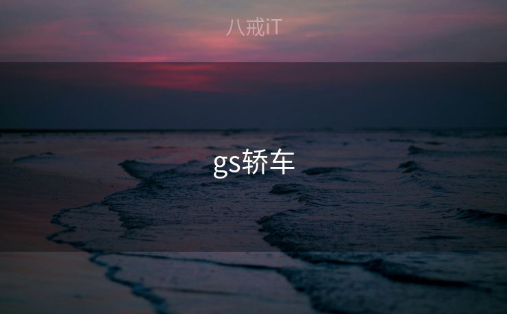gs轿车 gs轿车