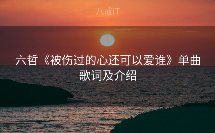 六哲《被伤过的心还可以爱谁》单曲歌词及介绍