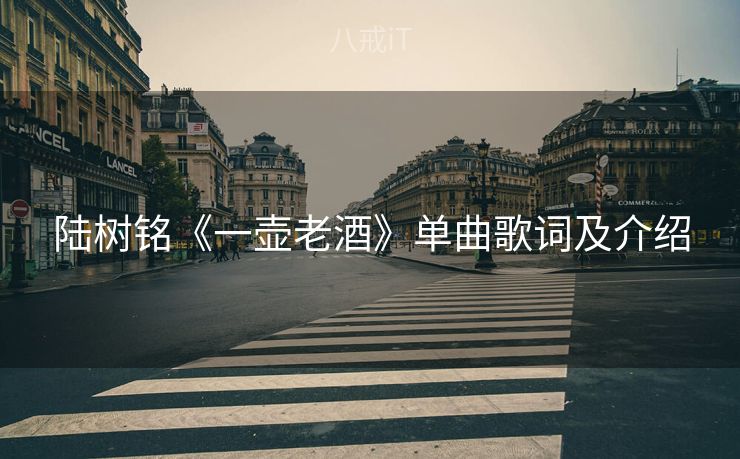 陆树铭《一壶老酒》单曲歌词及介绍