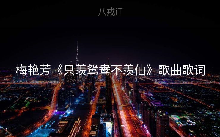 梅艳芳《只羡鸳鸯不羡仙》歌曲歌词 梅艳芳《只羡鸳鸯不羡仙》歌曲歌词