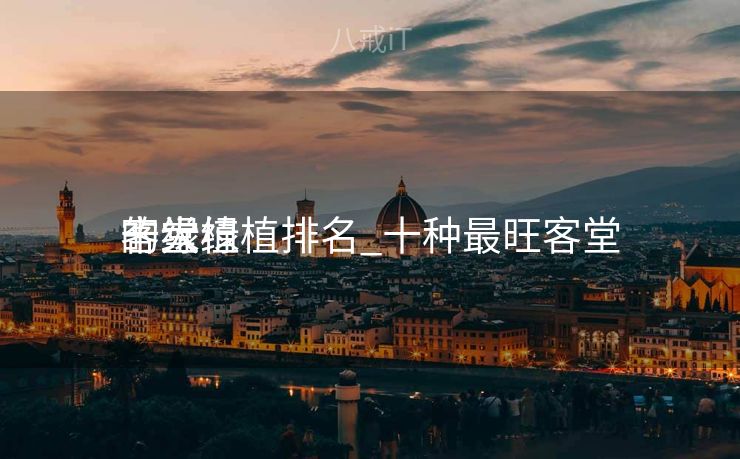 客堂
十大绿植排名_十种最旺客堂
的绿植