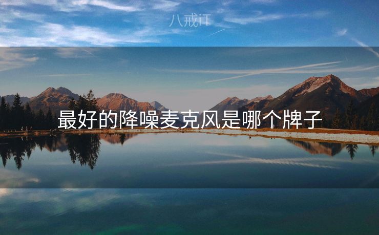 最好的降噪麦克风是哪个牌子