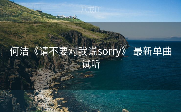 何洁《请不要对我说sorry》 最新单曲试听