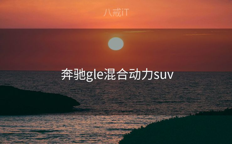  奔驰gle混合动力suv