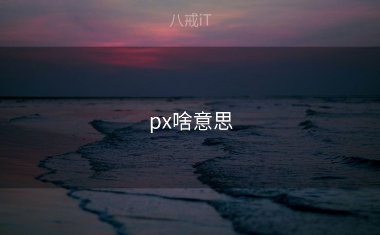 px啥意思