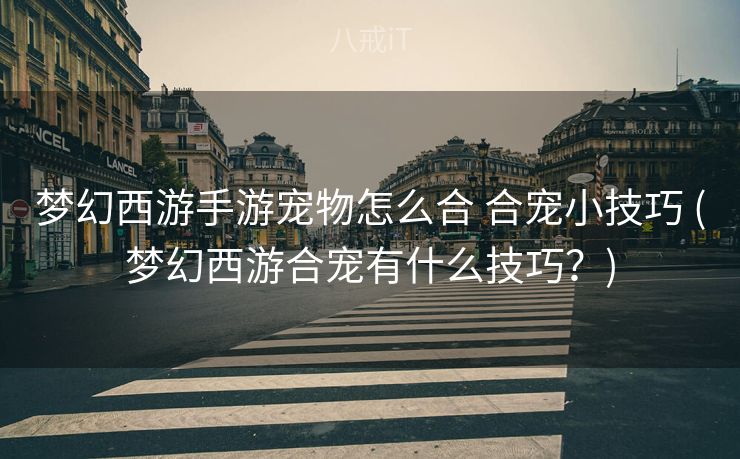 梦幻西游手游宠物怎么合 合宠小技巧 (梦幻西游合宠有什么技巧？)