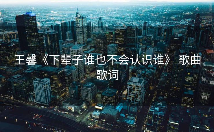 王馨《下辈子谁也不会认识谁》 歌曲歌词