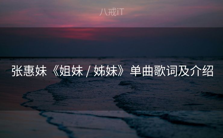 张惠妹《姐妹 / 姊妹》单曲歌词及介绍