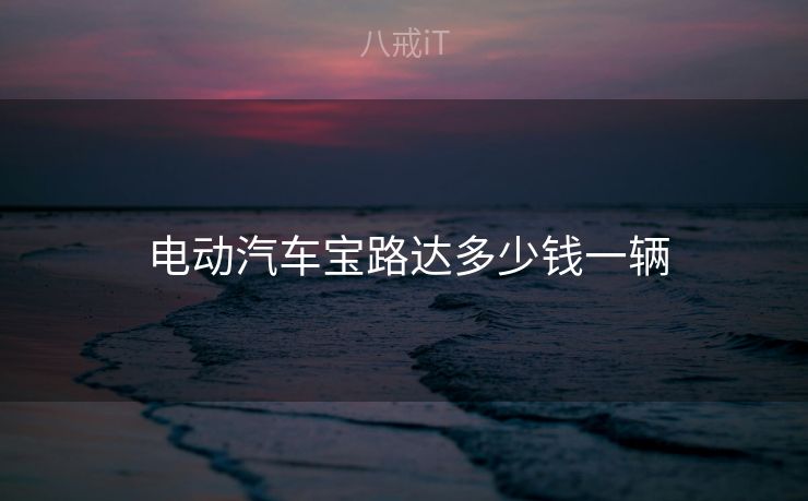  电动汽车宝路达多少钱一辆